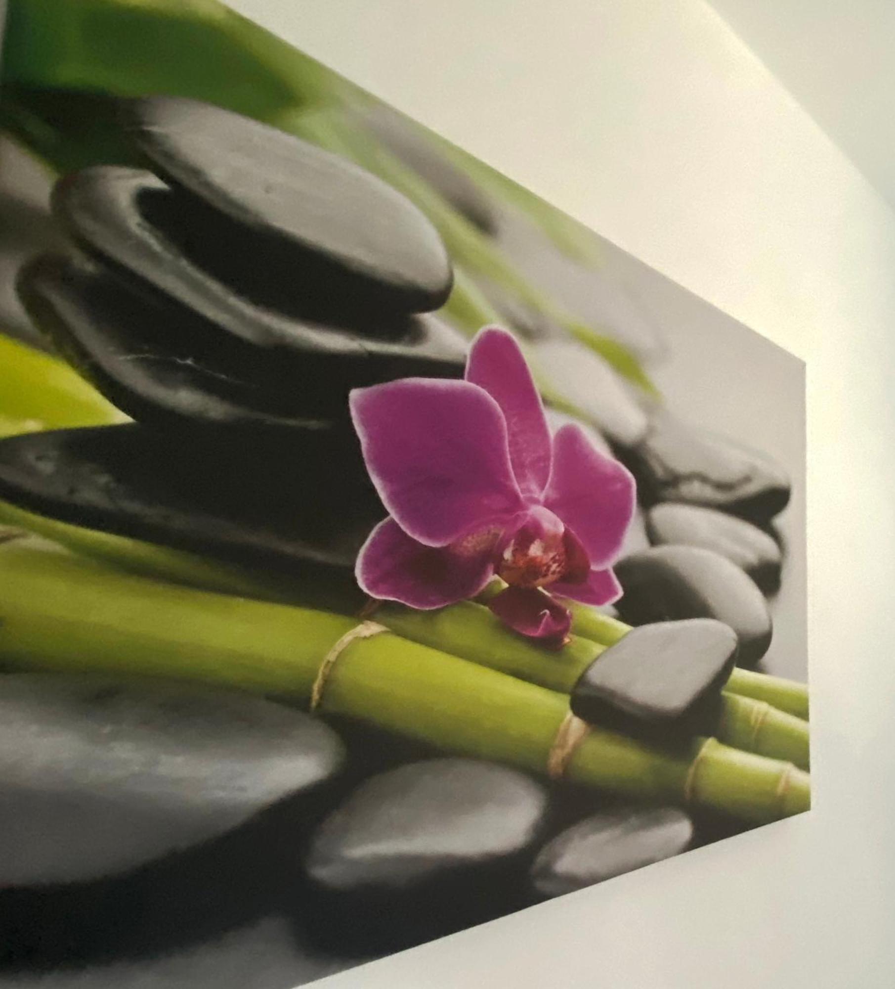 Four Flowers Apartman Siofok Dış mekan fotoğraf