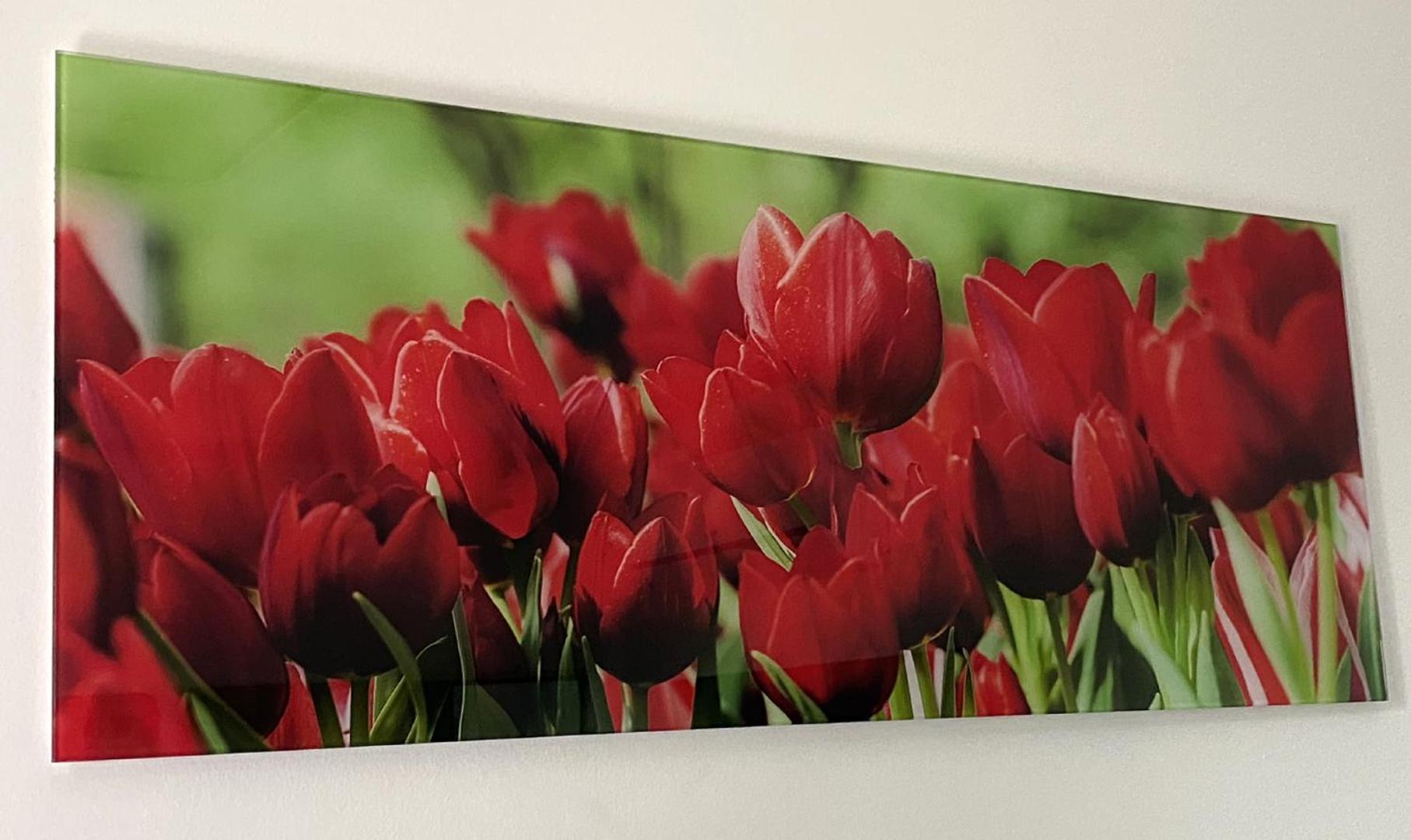 Four Flowers Apartman Siofok Dış mekan fotoğraf